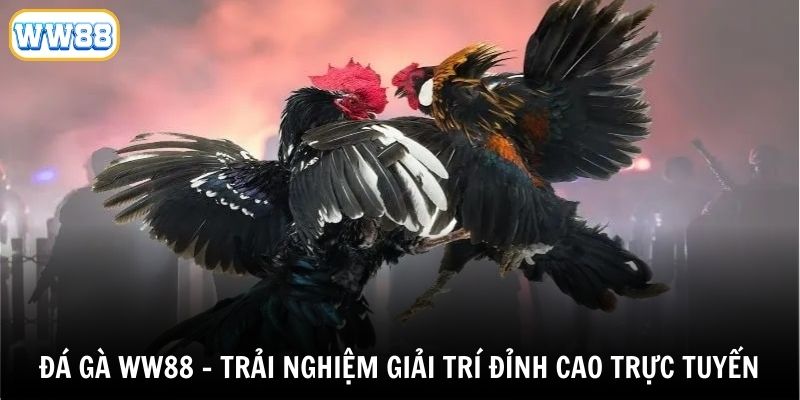 Thông tin về danh mục Đá Gà ww88 đình đám
